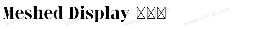 Meshed Display字体转换